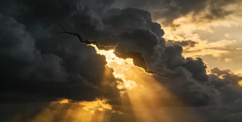 新余肺癌12基因ctDNA突变检测(血液）图片1