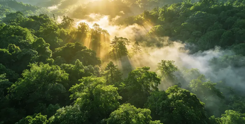 新余肺癌（EGFR T790M)突变检测图片1