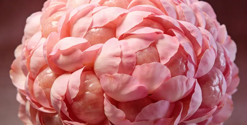 新余BRCA1/2乳腺癌卵巢癌基因检测图片1